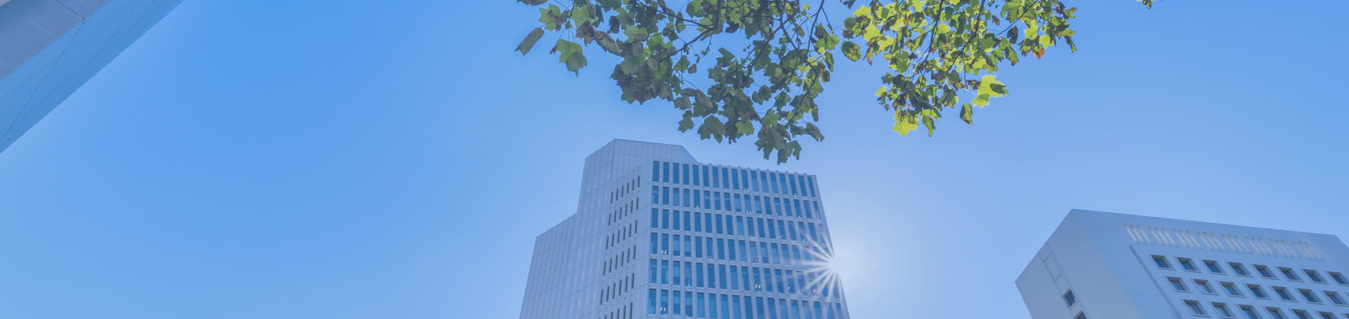 代表税理士メッセージ